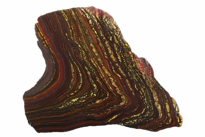 Polished Tiger Iron Stromatolite Slab - Billion Years #354948